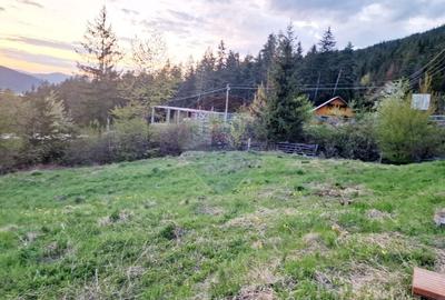 Teren Construcții intravilan de 941 mp, în Hangu - 17