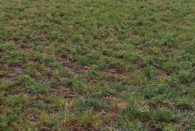 Teren de 1213 mp, în Exterior Vest - 3