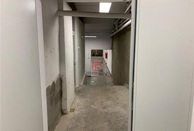 Depozit/hala/spatiu industrial Politehnica - Apaca - 13