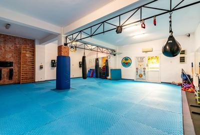 Vila spatioasa si versatila - Zona Margeanului, Bucuresti - 2