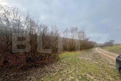 Teren extravilan, 4 hectare, langa livada de mere Ghinda - 7