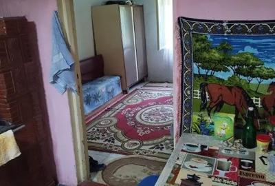 Casă cu 2 camere cu Teren 7500 Mp în Valea Roșie - 3