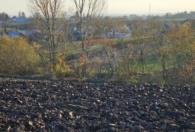 Teren agricol extravilan de 6100 mp, în Stroiești - 16