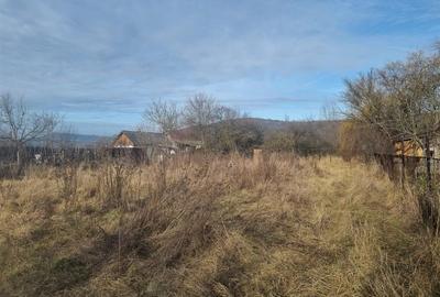Casa de vanzare central  in Fagaras - 21