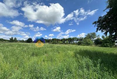 Teren intravilan de vanzare Unghi- jud. Neamt - 2