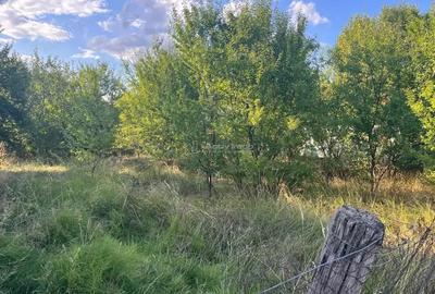 Teren de 1060 mp, în Darova