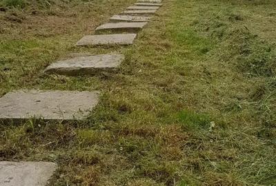 Casă cu 1 camere cu Teren 500 Mp în Măgurele - 4
