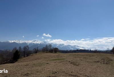 Teren de 4584 mp, în Moieciu - 5