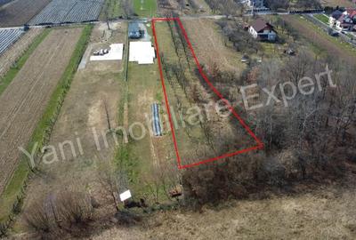 Teren de 2172 mp, în Albești - 7