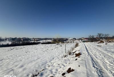 Teren de 1439 mp, în Viile Satu Mare - 5