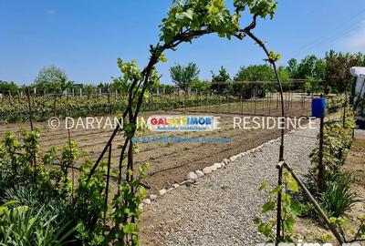 Teren in Poienari Apostoli, 21 E mp, Avantajos, DN1, 34.500 euro - 1