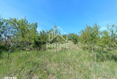 Teren de 2160 mp, în Central - 2