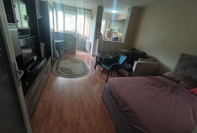 Drumul Taberei, garsoniera 32 mp, Ghencea - 10