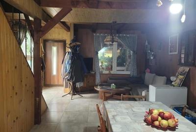 FILM! Resedinte montane,mobilate,echipate, jacuzzi,piscina,pretios areal,Sambata - 27