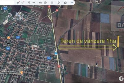 Teren extravilan de vanzare - 10 000 mp -Sud Harman - 2