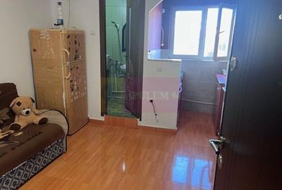 Garsoniera confort 3 Metalurgiei- Drumul Cretestilor. - 6