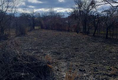 Casă cu 4 camere cu Teren 870 Mp în Bozovici - 2