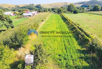 TEREN intravilan  6764 mp DRAGOMIRESTI - VAD - 9