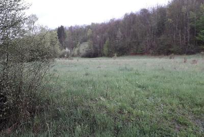 Teren de 6000 mp, în Central - 1