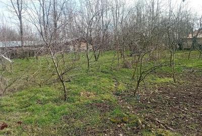 Casă cu 4 camere cu Teren 1110 Mp în Vlad Țepeș - 5