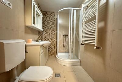 Casă individuală cu 9 camere cu Piscina în Sub Arini - 45