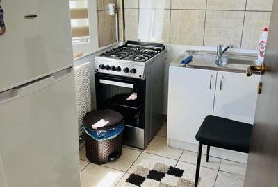 Apartament cu o camera in zona Dambovita - 3