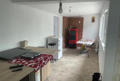 Vânzare casă nouă, 128 mp utili, teren 4.500 mp – Comuna Balta Albă, Sat Amara, - 9