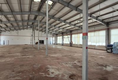 Spatii industriale  si comerciale  de inchiriat Focsani 5000 mp - 11