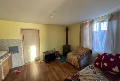 Casă cu 2 camere cu Teren 2751 Mp în Lucăcești - 12