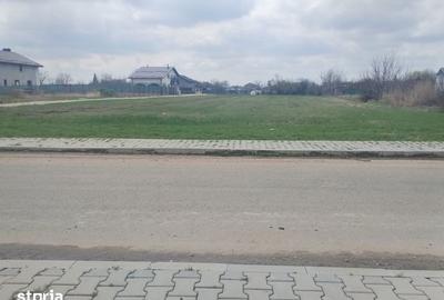 Teren de 450 mp, în Dragomirești-Vale - 4