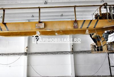 Hale de 1000mp.650mp.360mp.cu pod rulant birouri 200-80-50mp - 13