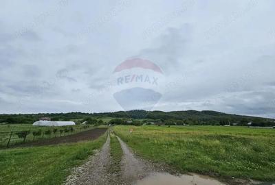 Teren 1,495mp Dobreni / Strada Parau Almas - 11