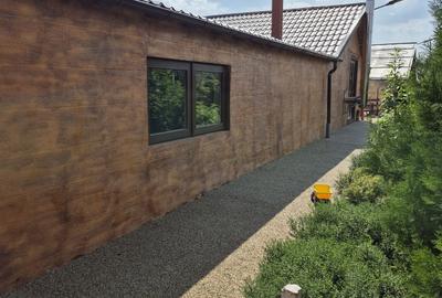 Casă cu 4 camere cu Teren 28000 Mp în Baba Ana - 4