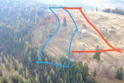 Teren intravilan 26232m.p. Dorna-Arini / Cozane?ti - 2