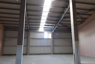 Spațiu industrial, de 500 mp, în Exterior Sud