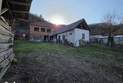 Casă cu 4 camere cu Teren 1887 Mp în Burjuc