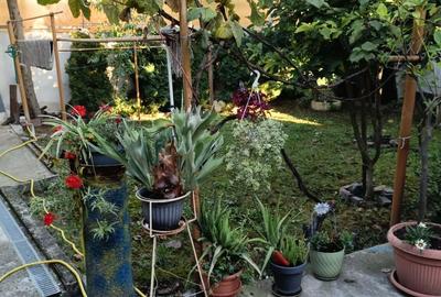 Casă cu 3 camere cu Teren 324 Mp în Central - 1