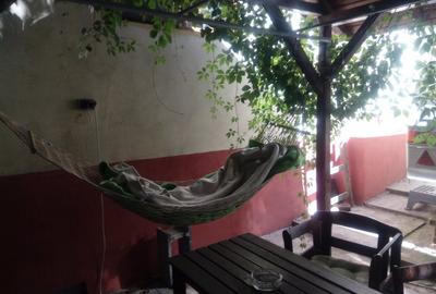 Proprietar, ap 2 cam in casa veche, Mărășești, singur curte - 3