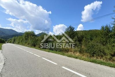 Teren  construibil ,la sosea, intre Vale si Sibiel, zona cu potential - 12