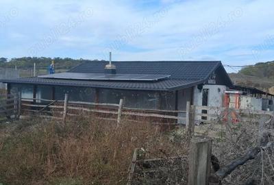 Ferma de vanzare , zona Dambu - 4