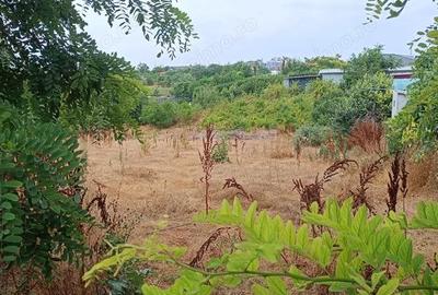 Teren de 3000 mp, în Lumina