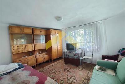 Casa de vanzare in Bodrogu Vechi - 6