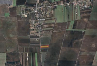 Teren de 10000 mp, în Butimanu - 2