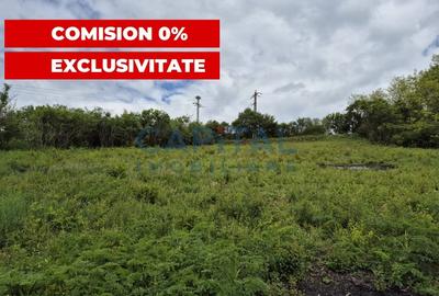 Oportunitate de investitie! Teren extravilan 11 400 mp, Apahida - 1