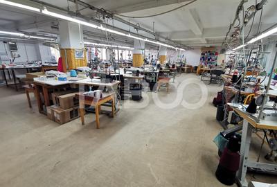 Spațiu industrial, de 1,520 mp, în Turnișor - 3