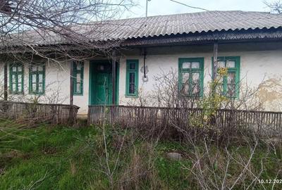 Spațiu comercial, în Dăeni - 7