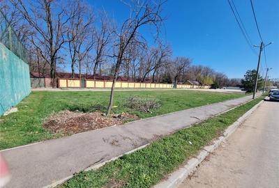 Loturi teren zona SERE Alexandria si Nanov Loturi teren zona SERE Alexandria si Nanov - 8