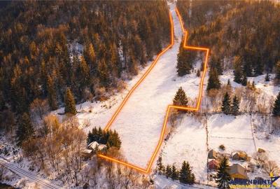 Teren de 7800 mp, în Lunca