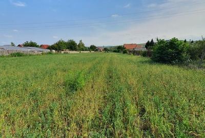Teren de 1000 mp, în Războieni - 4