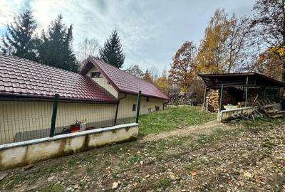 Casă cu 4 camere cu Teren 1527 Mp în Tăuții de Sus - 13